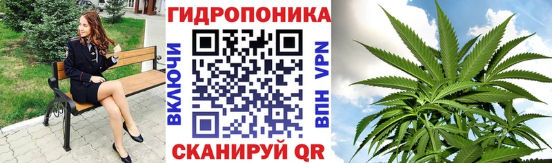 Конопля Bruce Banner  купить наркотики цена  Горячий Ключ 